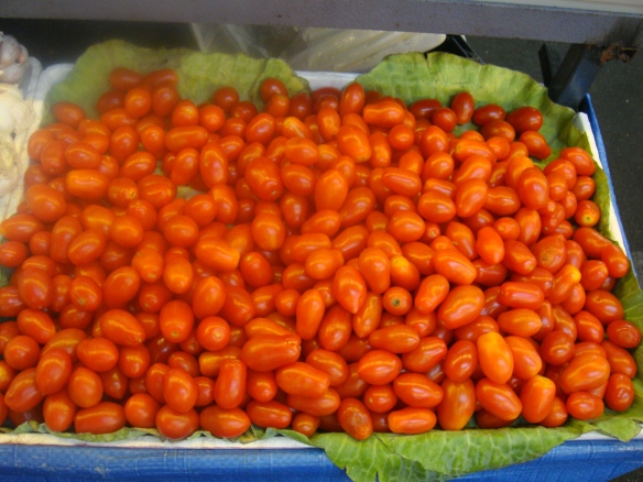 Autumn harvest - Tomatoes